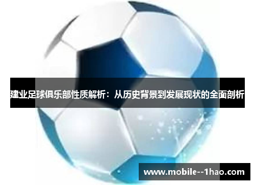 建业足球俱乐部性质解析：从历史背景到发展现状的全面剖析