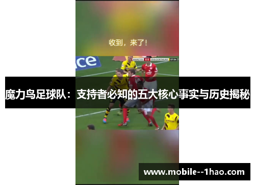 魔力鸟足球队:支持者必知的五大核心事实与历史揭秘 魔力鸟足球队:支持者必知的五大核心事实与历史揭秘