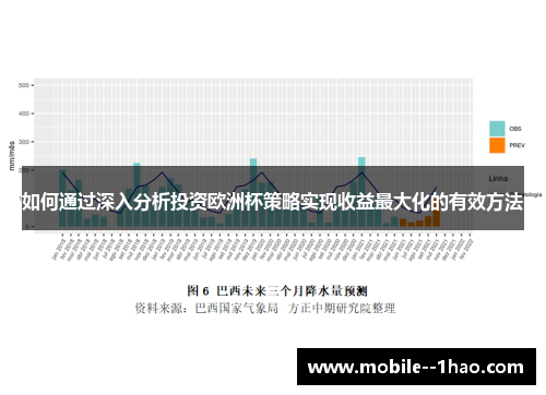 如何通过深入分析投资欧洲杯策略实现收益最大化的有效方法