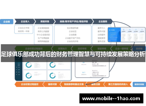 足球俱乐部成功背后的财务管理智慧与可持续发展策略分析 足球俱乐部成功背后的财务管理智慧与可持续发展策略分析