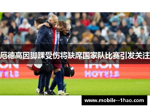 厄德高因脚踝受伤将缺席国家队比赛引发关注 厄德高因脚踝受伤将缺席国家队比赛引发关注