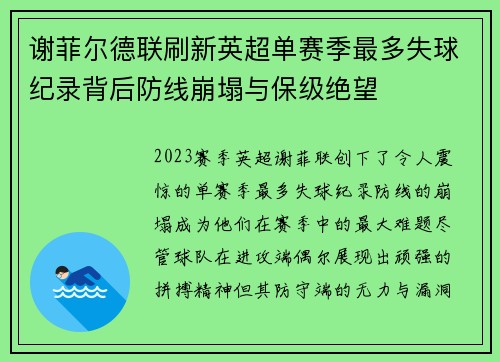 谢菲尔德联刷新英超单赛季最多失球纪录背后防线崩塌与保级绝望